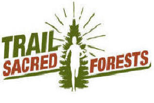 Trail Sacred Forest